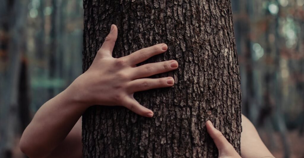 Close-up of hands embracing a tree trunk in a serene autumn forest setting.